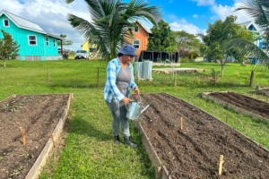 Gardening at Carmelita Gardens