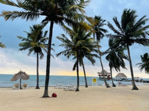 Beaches in Hopkins, Belize