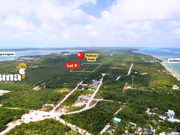 Lot 9 - Platinum Point Subdivision - Aerial